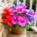 Artificial Flowers for Outdoors Faux Plants 4 Bundles Realistic Fake Hibiscus Tropical Flower UV Resistant Silk Flowers for Outside Planter Porch Patio Yard Garden Window Home Decoration, Mix (Purplefuchsiared)