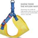 3 x STAR WARS C3PO Dog Harness for Large Dogs, Large (L) | Yellow Large Dog Harness, No Pull Dog Harness with D-Ring | Machine Washable STAR WARS Merch for Dogs STAR WARS Dog Costume,FF18385