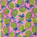 Core Kitchen Set Of 6 Printed Sponges – Lemon