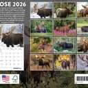 Moose Calendar 2026 Monthly Wall Hunting Gifts for Hunters Men Calender 12 Month | American Made In The USA