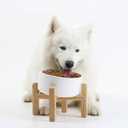 Petygooing White Elevated/ Raised 15°Slanted Ceramic Dog Bowl for Small and Medium Breeds, Tilted Anti Slip Pet Feeding Bowl, Food Water Dish with Stand for Cats and Dogs (28 OZ/ 3.6 Cups)