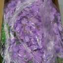 HUAHUA Artificial Wisteria Flowers, White Dense Artificial Fake Wisteria Vine Ratta Hanging Garland Silk Flowers String for Home Party Wedding Decor (24pcs Light Purple)