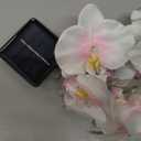 Solar Garden Lights Outdoor, Waterproof Flowers String Light, 12.5ft 10 LED Phalaenopsis Orchid Patio Light for Garden Yard Tree Christmas Wedding Party Decor