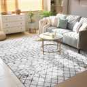 Lessymo 5x7 Area Rugs 5x7, Machine Washable Modern Area Rug, Super Soft Faux-Wool Carpet for Living Room Bedroom Dining Room, Non-Slip Low Pile, Grey White