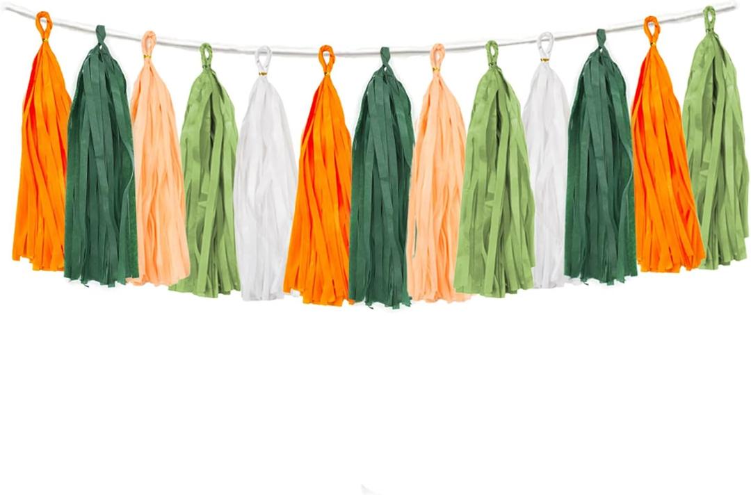 25PCS Little Cutie Baby Shower Decorations Citrus DIY Tissue Tassel Garland Banner Tangerine Clementine Orange Themed Birthday Party Wedding Backdrop Nursery Wall Garden Hanging Dcor