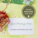 2 x Paper Love 3D Pop Up Mothers Day Card, Kangaroo, For Mom, Wife - 5" x 7" Cover - Includes Envelope and Note Tag