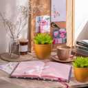 VANGOLD (2-Pack) Bring Nature Indoors Artificial Succulents in Fashionable Golden Flower Pots - Perfect for Home, Office, and Event Decor