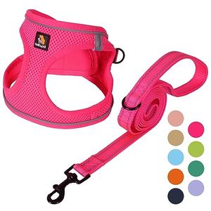 BELLA & PAL Step in Vest Harness for Small and Medium Dogs, No Pull Small Dog Harness with Leash Set, Comfortable Air Mesh Dog Vest Harness with Reflective Strip (Hot Pink, S)