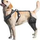 Dog Knee Brace for Torn ACL/CCL Hind Leg,Adjustable Support with Sufficient Wrapping and Support & Luxating Patella,Non-Slip Joint Brace,Pain Relief & Better Recovery-Left Leg/M