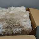 Beige Fluffy Rug for Bedroom 8x10 ft Large - Ultra Soft & Non Slip Shaggy Area Rug, Comfy Durable Carpet for Living Room Kids Room Teens Dorm Home Decor, 1.7'' Thick Indoor Plush Carpets