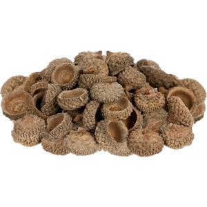 3 x Angoily Natural Acorn Shells 50Pcs 0.78In Dried Acorn Craft Decorations for Autumn Wedding Christmas Tree Photo Props Home Party Hanging Ornaments