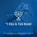 PETARMOR Home Carpet Powder for Fleas and Ticks, Protect Your Home From Fleas and Deodorizes Carpets, 16 Ounce