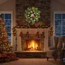 Lnymura 24 Inch Lighted Christmas Wreath Cat Sign Wreath with Timer Cedar Branches Pine Needles Red Berries and Holly Leaves Christmas Dcor Holiday Hanging Decoration for Door Wall Mantel