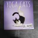 Yoga Cats OFFICIAL | 2026 12 x 24 Inch (Hanging) Monthly Square Wall Calendar | Plastic-Free | BrownTrout | Animals Humor Pets