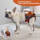 CuteBone Washable Dog Diapers Female No Tail Hole 3 Pack Reusable Doggie Period Training Pants for Docked-Tail Frenchie French Bulldog Boston Terrier Without Tail WWD28 M