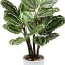 Briful 24.8" Artificial Calathea Medallion Plant Fake Plants Home Décor Tropical Faux Plant in Pot for Home Garden Office Decoration