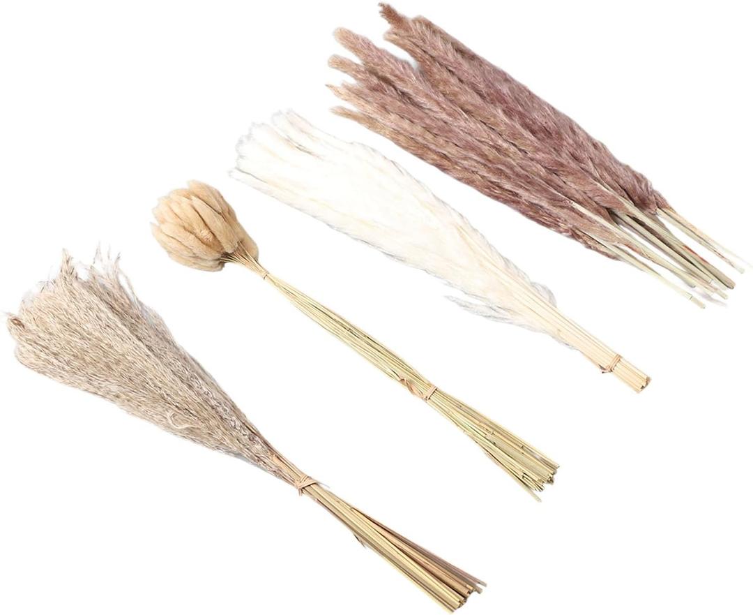 Yosoo 50 Bunny Tail Grass, 15 White Pampas, 15 Brown Pampas 20 Reed Grass Dried Pampas Grass Set for Home Wedding Decor Yosoo 50 Bunny Tail Grass, 15 White Pampas, 15 Brown Pampas 20 Reed Grass Dried Pampas Grass Set for Home Wedding Decor