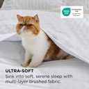 Bedsure Quilts Queen Size - Bright White Bedspread Queen Size & Lightweight Comforter, Modern Coverlet with Clover Pattern, Ultra Soft All-Season Bedding, 90 x 96 Inches | Stitch-Free Quilting, Lightweight, Summer Bedding Set, Machine Washable, Pet-Friendly