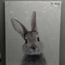 Canvas Wall Art Bunny Canvas Print Wall Decor Lovely Rabbit Posters for Baby Kids Room Framed Artwork for Bedroom Bathroom Kitchen Home Decor Nursery Wall Decor Bathroom Wall Decor (23 * 33)