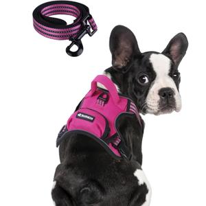 BUMBIN Dog Harness for Large Dogs, No Pull Adjustable No Choke Pet Vest with Dog Leash Fit Smart Reflective Pet Walking Harness for Training Easy Control Soft Handle Rose Red M