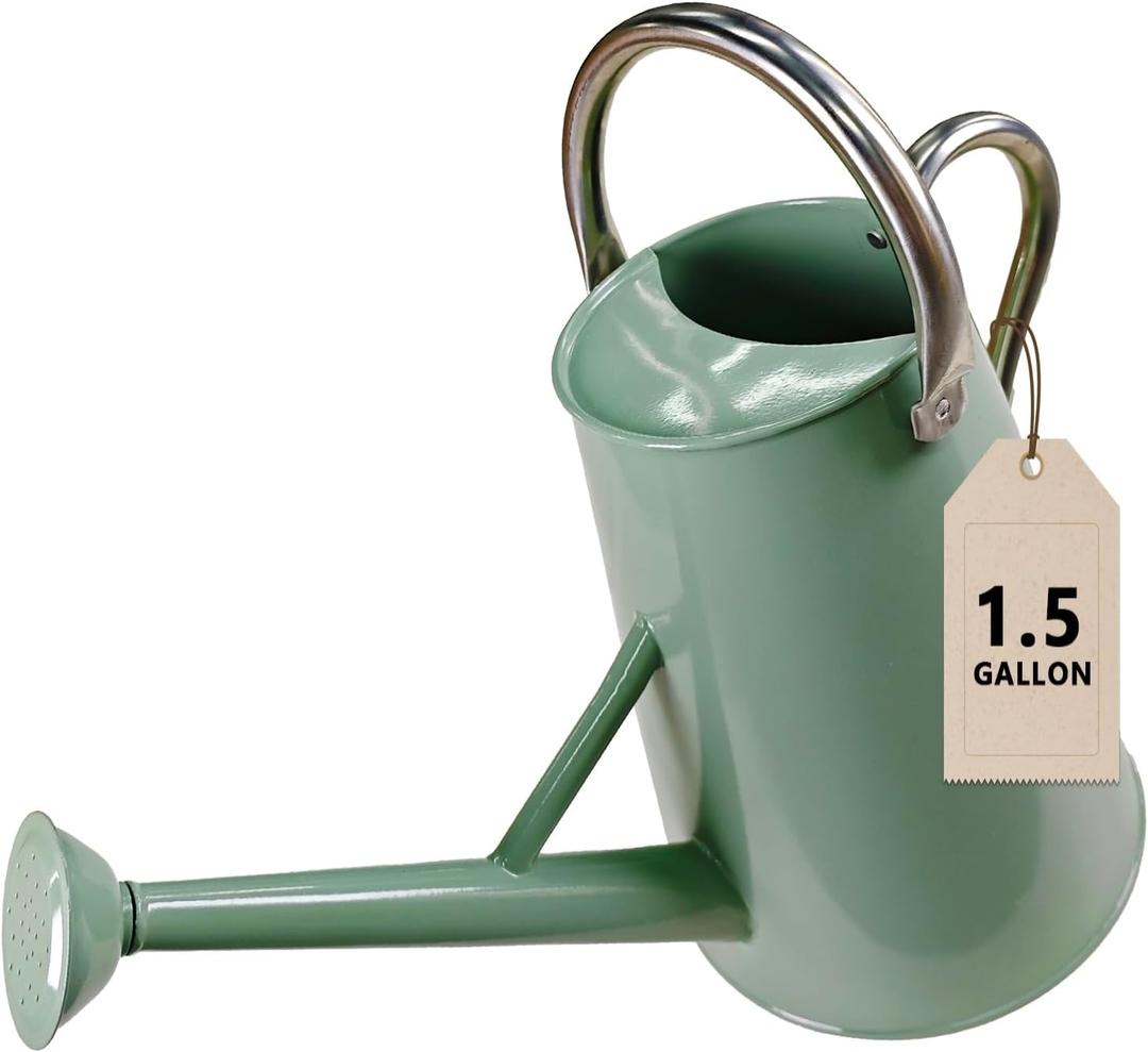 Watering Can for Outdoor&Indoor Plants1.5 Gallon5.7L Metal Watering Can with with Removable SpoutLarge Galvanized Steel Garden Flower Water Can Watering Pot with 2 HandlesCream Green