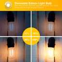 DAYBETTER 6 Pack Vintage LED Edison Bulbs, E26 Led Bulb 60W Equivalent, Dimmable Led Light Bulbs, High Brightness 800 LM Warm White 2700K, ST58 Antique Filament Bulbs, Clear Glass Style for Home