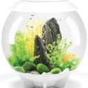 biOrb Halo 30 Acrylic 8-Gallon Aquarium with Multi-Color Remote-Controlled LED Lights Modern Tank for Tabletop Display, White