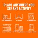 TERRO Ant Killer Bait Stations T300B - Liquid Bait to Eliminate Ants - Bait System - 12 Count Stations for Effective Indoor Ant Control
