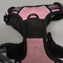 rabbitgoo Dog Harness No Pull with 2 Leash Clips, Adjustable Soft Padded, Reflective Oxford No Choke Pet Vest with Easy Control Handle for Medium Sized Dogs, Pink, M