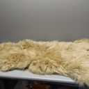 AMTOVO Faux Fur Rug, Beige Small Area Rug, Fluffy Sheepskin Rug, Fuzzy Ultra Soft 2 x 3 ft Shag Rugs for Bedroom Sofa Throw Cushion Room Decor, Sheepskin