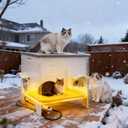 Weatherproof Outdoor Heated Cat House for Feral Cat, Plastic Elevated Cat Shelter with Escape Door, Easy Assemble, Expansive Interior‌ Grey 22.0" L x 21.0" W x 16.0" H