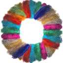 FeelfunFeather 240 pcs Colored Spotted Feathers 2-3inch Bulk Small Guinea Fowl Polka Dot Feather for DIY Crafts Clothing Hats Decoration