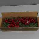 Watayo 45 Pcs Christmas Artificial Pine Branches with Red Berry Stems, 10.5" Faux Evergreen Norfolk Pine Cypress Leaves Stems, Fake Foliage Pine Needles Picks for DIY Craft Garland Home Decor