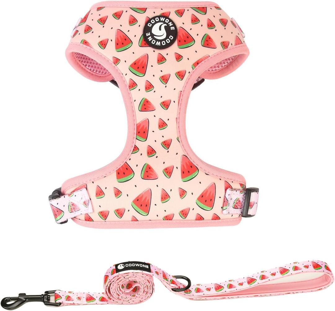 Coowone Dog Harness and Leash Set, Adjustable Puppy Harness and Soft Padded Dog Vest Harness for Small Medium Large Dogs (XS (Neck 9"-11"; Chest 11"-13"), watermelon)