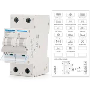 MOLLOM DC 2 Pole Miniature Circuit Breaker, 250V 63Amps, C63 Scene Visualization Custom MCB Thermal Magnetic Trip, 6KA Breaking Capacity DC Disconnect Switch for Solar PV System ( 2 Pack)
