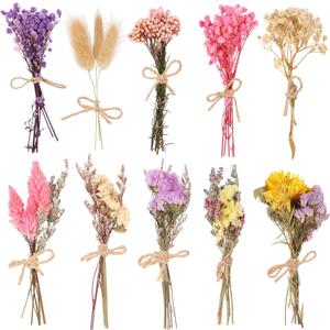 VAIPI 10 Pack Dried Flower Bouquets Various Dried Flower Combinations with Stem Mini Dried Embossing Natural Flower Bundles Artificial Flower Dried Floral Arrangement for Vase DIY Wedding Decor
