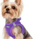 rabbitgoo Small Dog Harness, Step-in Soft Mesh Puppy Vest with Safety Buckle, Breathable Reflective Pet Harness for Small Sized Dogs, Purple XS(Chest:13.3"-15.5")