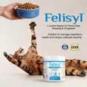 Felisyl L-Lysine Granules for Cats 100g (3.5 oz, 310 Servings)  Supports Immune, Respiratory, and Eye Health. Eases Sneezing, Runny Nose, and Watery Eyes. Tasty Salmon Flavor - Made in The USA