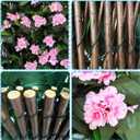 Expandable Fence Privacy Screen for Balcony Patio Outdoor,Decorative Faux Ivy Fencing Panel,Artificial Hedges