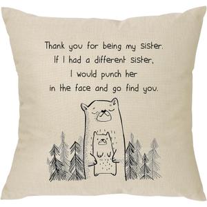 2 x XUNLIZXY Funny Sister Gifts from Sisters Best Friends-for Birthday Christmas Graduation Friends Colleague Throw Pillow Cover Cushion Cover Thanks for Being My Sister