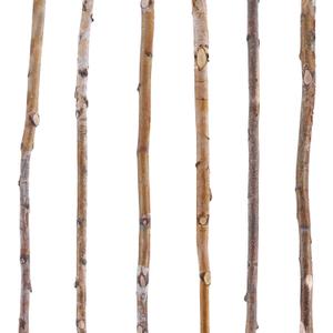 Yousoontic 6 Pcs Birch Pole Assortment 3ft Natural Wood Sticks Twigs for Crafts Branches for Home Decoration Holiday DIY Supply for Creative Projects