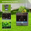 2 Pack Raised Garden Bed Tomato Planter with Trellis, 57" Tomato Cage Plant Support Planters, Self-Watering Planter for Tomatoes Climbing Plants Vegetable Vine Flowers Outdoor & Indoor