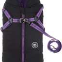 Norbi Pet Warm Jacket Small Dog Vest Harness Wih Leash Puppy Winter 2 in 1 Outfit Cold Weather Coat (XL, Black)