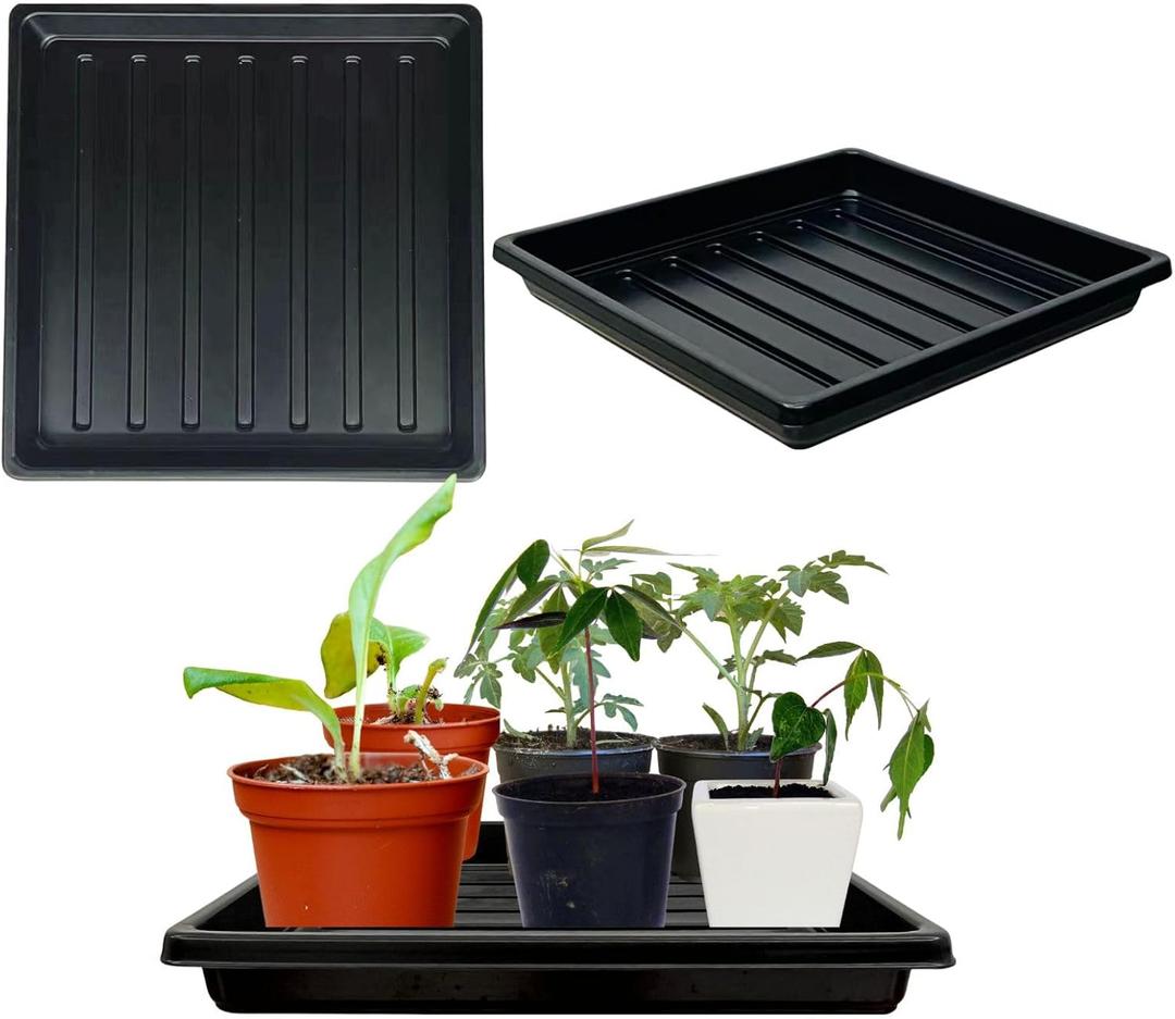 Plant Growing Trays for Seedlings Microgreen Seed Starter Shallow Plants Tray Drip Tray Standard 1010 Tray no Holes 5 Pack Black 10.7 x 10.7 inches Square Trays