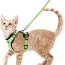 rabbitgoo Cat Harness and Leash for Walking, Escape Proof Soft Adjustable Vest Harnesses for Cats, Easy Control Breathable Reflective Strips Jacket, Light Green, XS