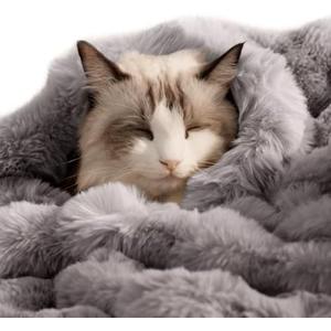 Dog Blanket Ultra Soft Fuzzy Faux Fur Cat Blankets for Indoor Cats Ultra Soft Plush Faux Fur Machine Washable Reversible Pet Throw Protector for Couch Furniture 28"X 22" Grey