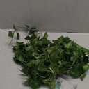 2 Pack 6.56 Ft Green Ivy Leaves Fairy String Lights Battery Operated, 40 LEDs Battery Powered Artificial Garland Plant Vine Fairy Light for Bedroom Wedding Party Holiday Patio DecorWarm White