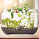 Miniature Frog Figurines Plant Decorations for Pots, 3Pcs Frog Statue Planter Hugger for Flower Yard Lawn Ornament