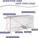 Live Feral Cat Trap Cage with Cover, Heavy Duty Folding Animal Traps Cage for Stray Cats, Humane Cat Trap for Raccoon, Squirrel, Skunk, Catch and Release - (32 x 10 x 12 inches)