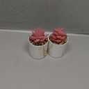 Der Rose Set of 2 Succulents Plants Artificial Mini Fake Succulents Plants for Office Desk Accessories for Women Pink Home Vanity Decor